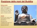 Diapositiva211